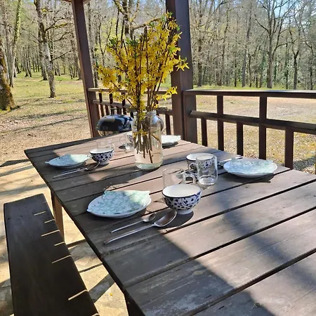 Chalet Domaine De Grézelou Saint-Martial-de-Nabirat